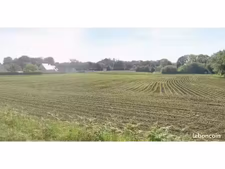 terrain à bâtir de 336 m² à pluneret (56)