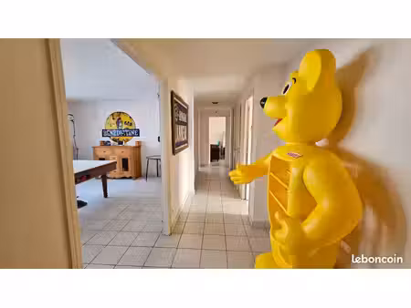 appartement centre ville