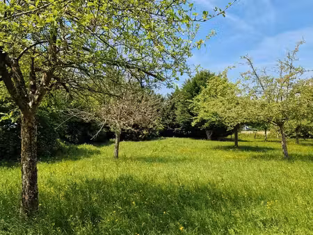 vends terrain de 6454 m2 avec batisses et cu