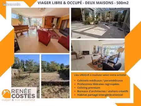 maison en viager 16 pièces 491 m²