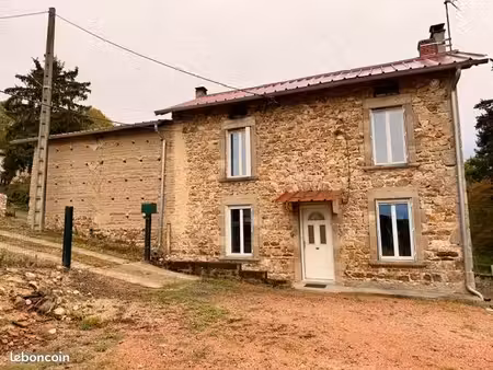 maison en pierres 3 pièces avec grand terrain  garage et grange