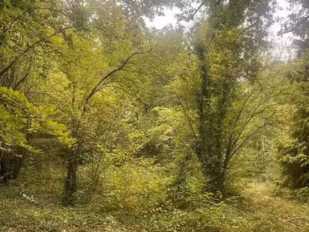 terrain lamorlaye