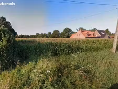 terrain 2 634 m² beuvry la foret