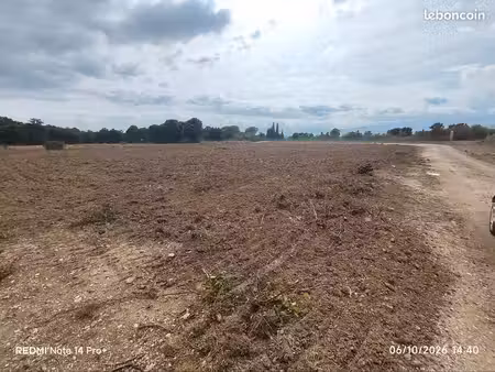 terrain plat avec beaucoup de possibilités