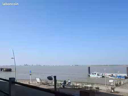 charmant appartement vue directe sur la loire