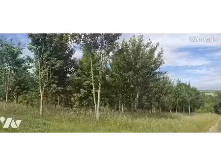terrain 5029 m² merck st lievin