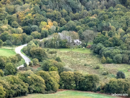 propriété forestière  botanique et nourricière  morbihan sud