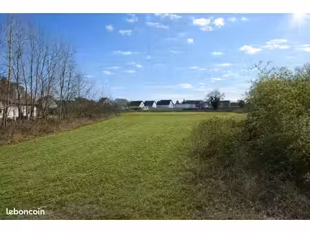 grand terrain constructible de 1115 m² - divisible - sessenheim