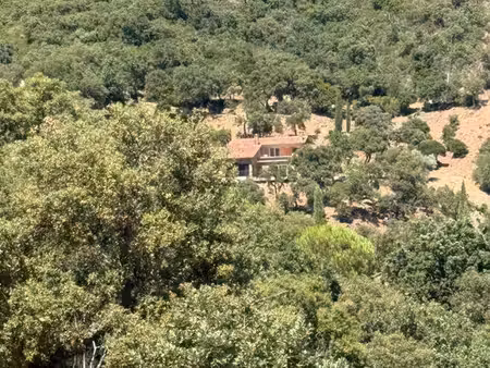 terrain en zone naturelle la garde freinet limite grimaud