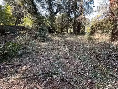 terrain agricole