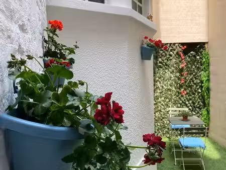 petite maison avec cour privée + dépendance