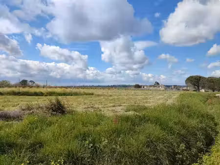 vente terrain 800 m² à omet (33410)  75 000 €