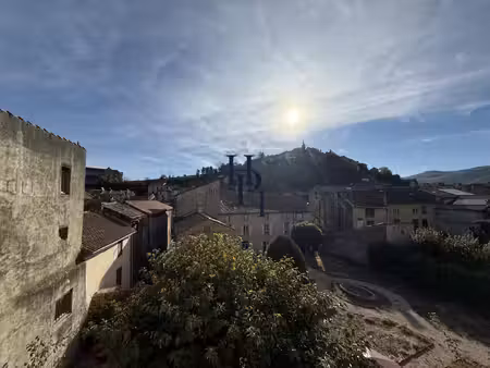 vente maison avec local commercial camares