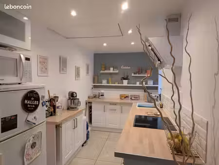 appartement 2 pièces 55 m²
