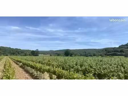 terrain 1 409 m² lezignan corbieres