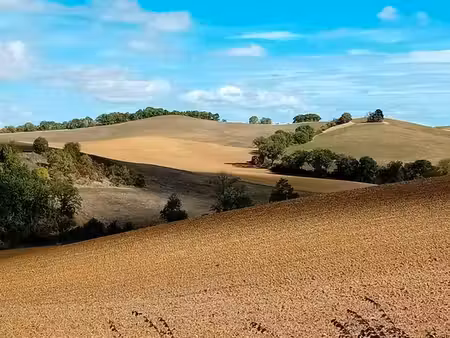 terrain agricole