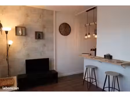 appartement 1 pièce 17m2