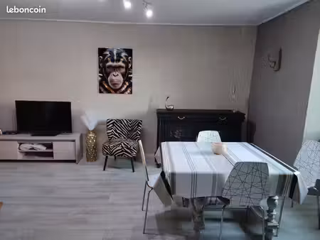 maison avec piscine