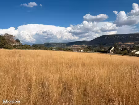 terrain pour paturâge