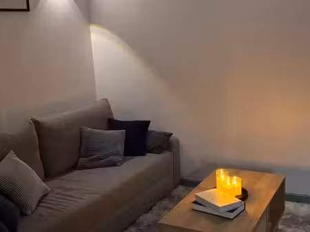 appartement t2 meublé et lumineux de 35 m² entièrement rafraîchi