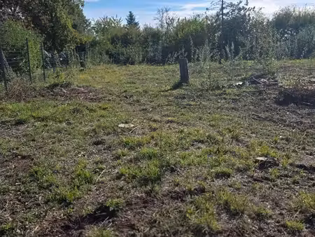 dirac terrain cu borne cloture sur 2 cote 1043m2