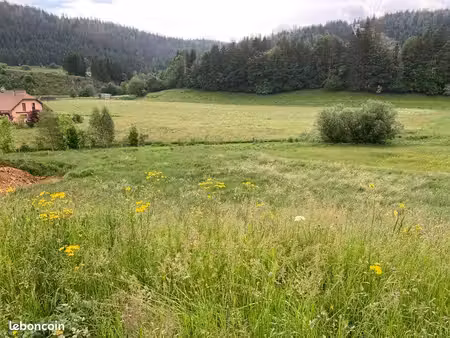 terrain viabilisé- vue nature