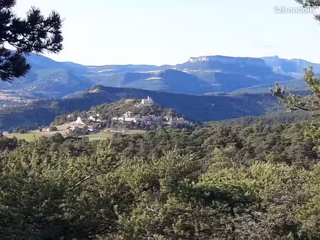 belle forêt naturelle