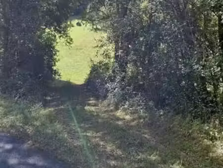 terrain agricole 1 hectare