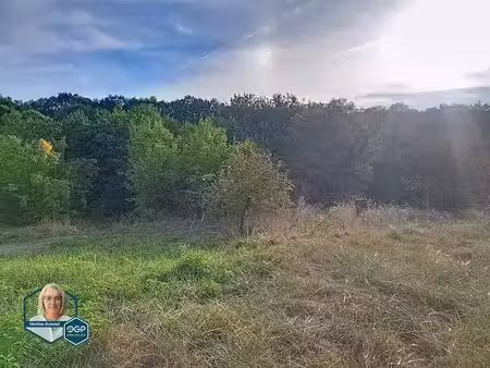 vente terrain à batir 1587 m² à castelnau-d'estrétefonds (31620)  163 000 €