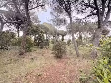 vente terrain à batir 1320 m² à saint-raphael (83700)  609 000 €
