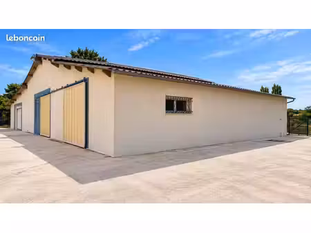 local professionnel 200m²