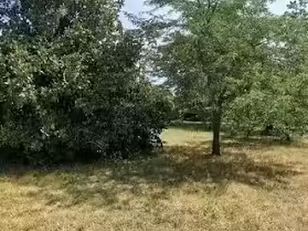vente terrain 800 m² à châteauneuf-sur-loire (45110)  98 000 €