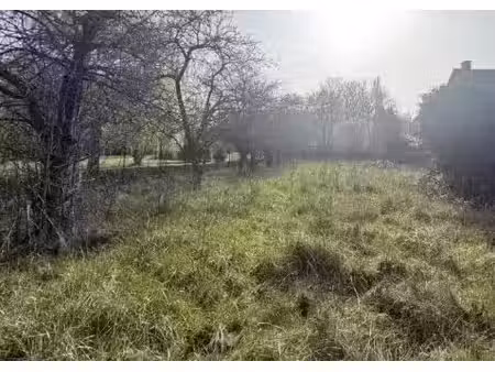 vente terrain à batir 2170 m² à tramery (51170)  110 000 €