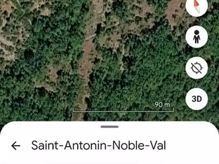 terrain boisé