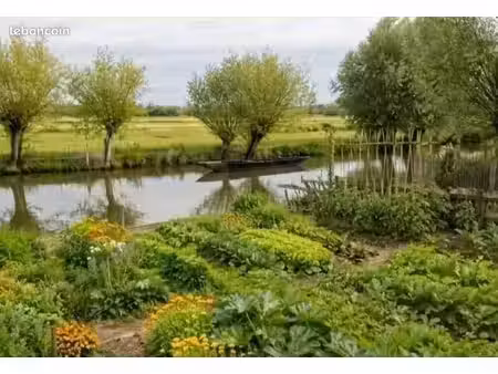 terrain pour jardin potager