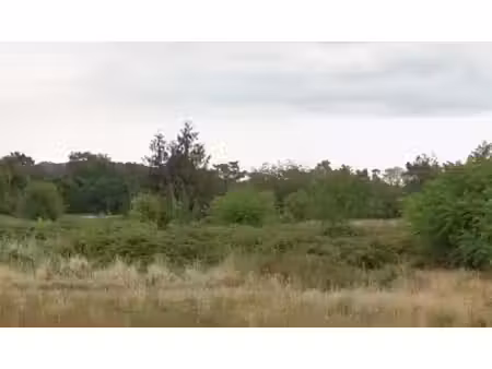 vente terrain 304 m² à vert-le-grand (91810)  145 000 €