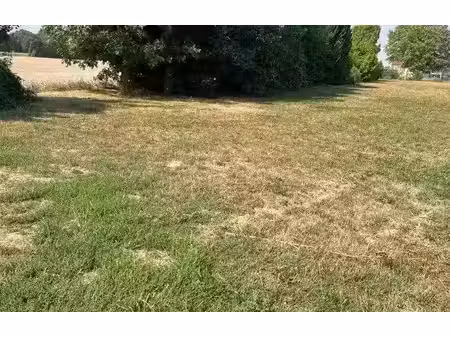 vente terrain à batir 959 m² à val-de-vesle (51360)  159 194 €