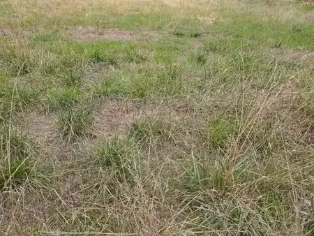terrain constructible non viabilisé 570 m²