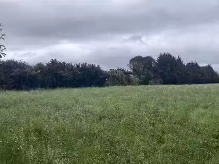 vente terrain 650 m² à l'isle-sur-la-sorgue (84800)  225 000 €