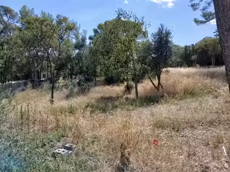 vente terrain 700 m² à cournonsec (34660)  229 000 €