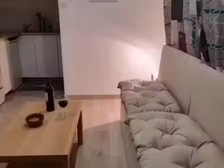 location meublée appartement 1 pièce 18 m² à montpellier (34000)  475 €