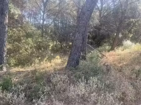 vente terrain 510 m² à lambesc (13410)  235 000 €