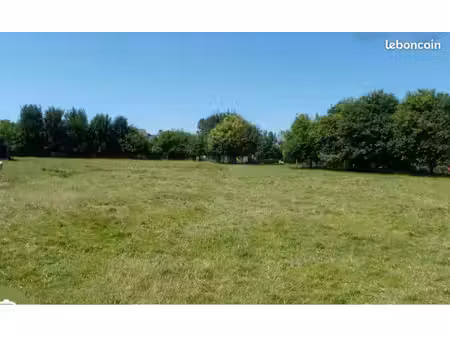 terrain constructible