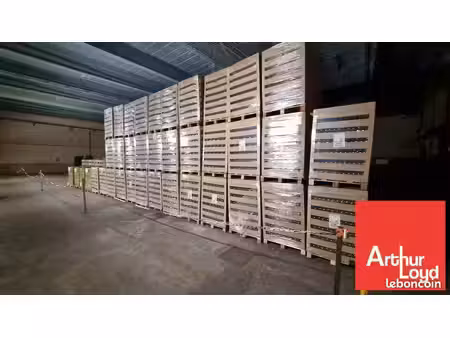 entrepot - logistique 240 m² dissay