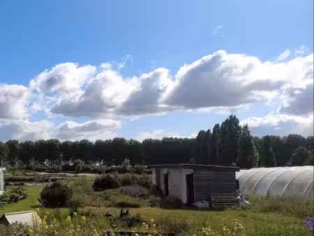 ferme maraichère biologique