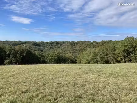 terrain 2 300 m² peyzac le moustier