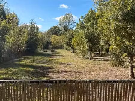 terrain dans le marais poitevin
