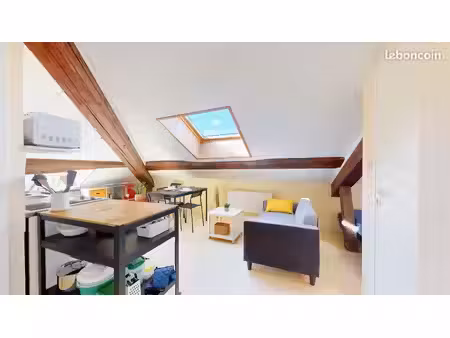 studio 1 pièce 20 m²