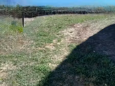 terrain 459 m² sainte flaive des loups