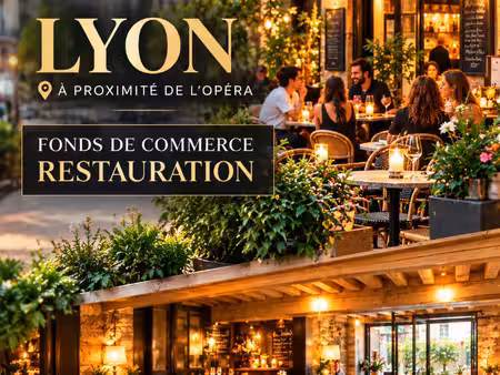 fonds de commerce de restauration avec licence iv à lyon